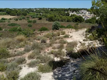 Parcela en Pinar de Campo Verde - M281897